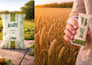 create business marketing designs
